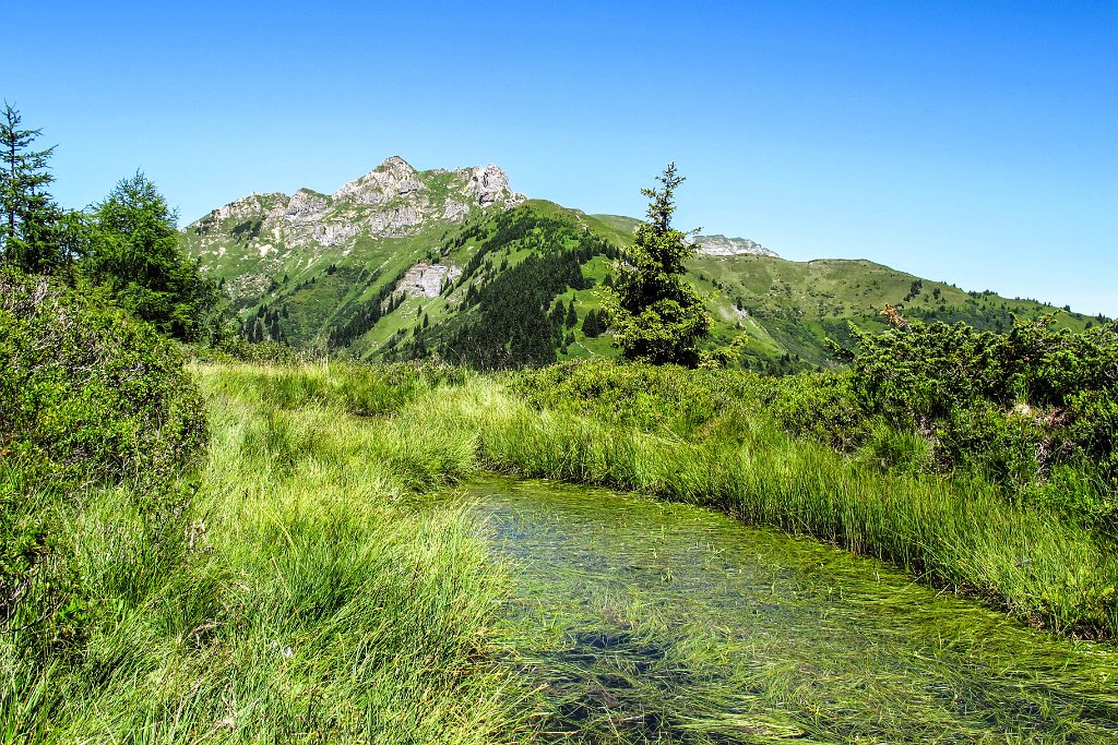 75 noch ein Blick zurueck.jpg